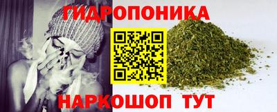 бошки Камышлов