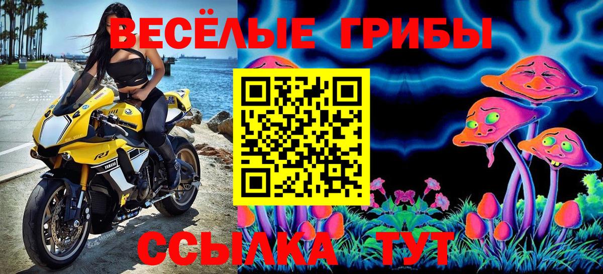 Галлюциногенные грибы прущие грибы Красноярск