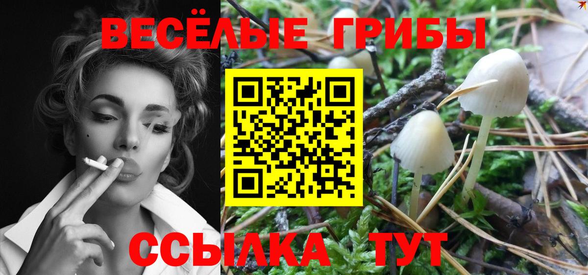 Псилоцибиновые грибы ЛСД  Вход с VPN  Псилоцибиновые грибы ЛСД  Красноярск 